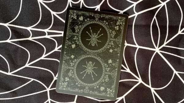 Bicycle Spider Green Limited Edition Playing Cards