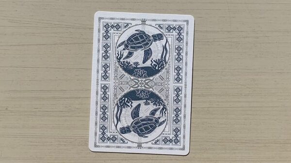 Bicycle Turtle Sea Limited Edition Playing Cards