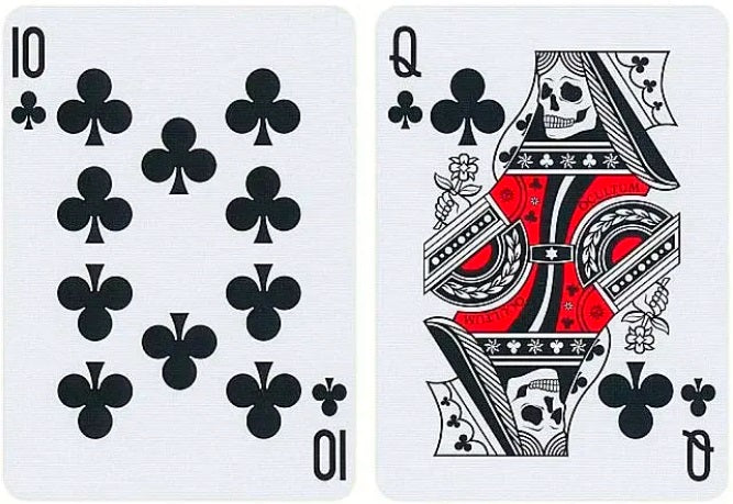 Bicycle HIDDEN Playing Cards